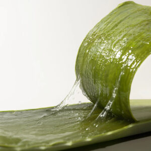 aloe vera gel 22 04 26
